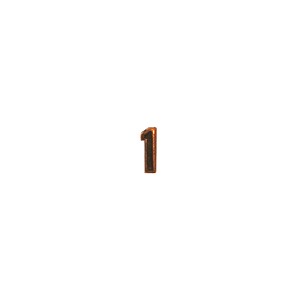 Bronze Numeral "1"
