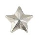 1 - 5/16" Silver Star