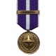 NATO Kosovo Medal