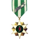 RVN Campaign Medal with 60's Device