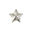 1 - 5/16" Silver Star