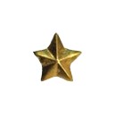 1 - 5/16" Gold Star